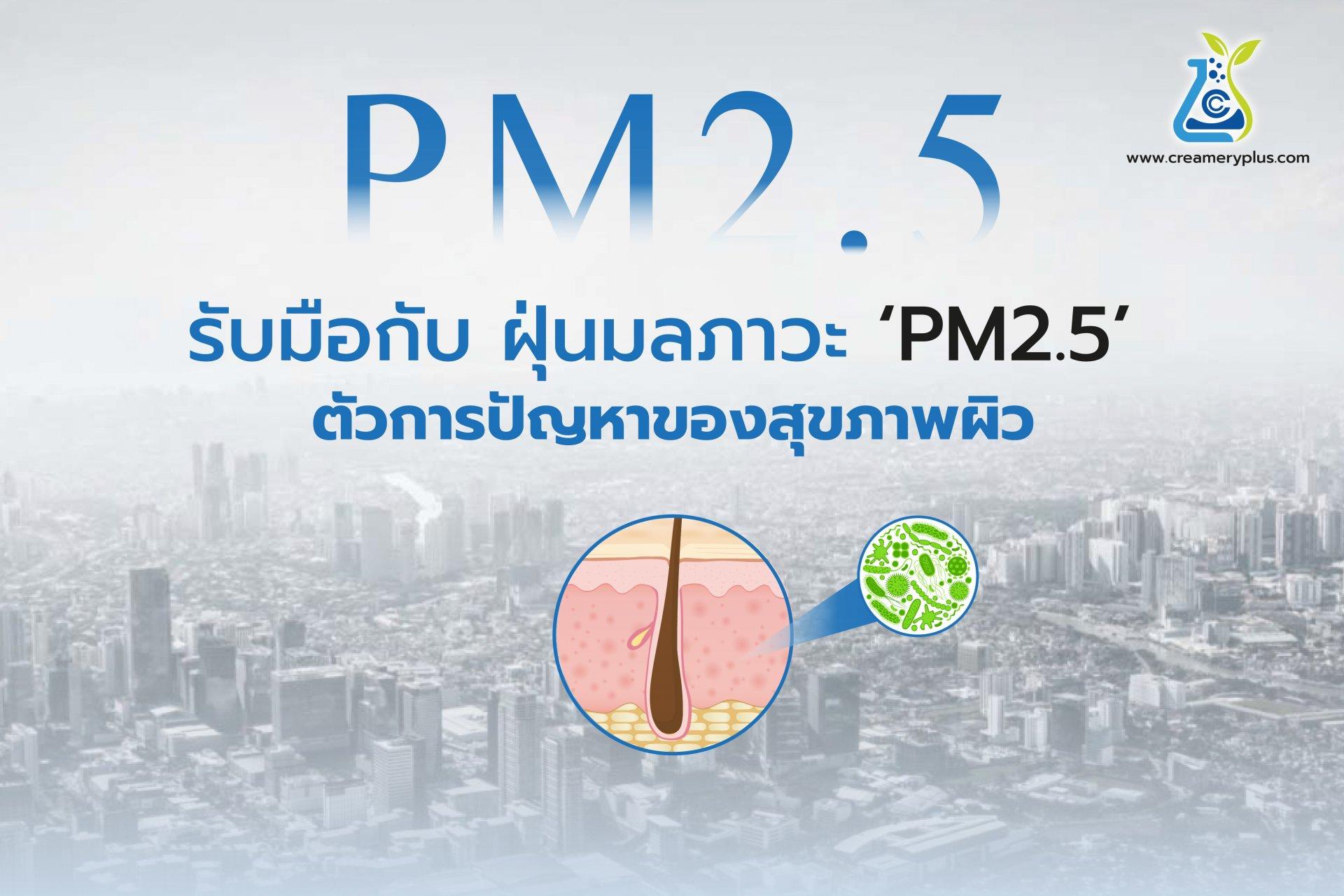 PM2 5如何清除？