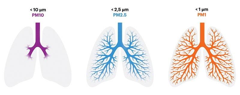 PM2 5口罩多久換一次？