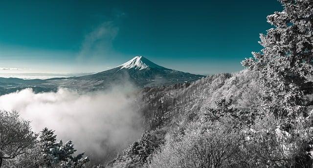 日本出境可以帶多少酒？